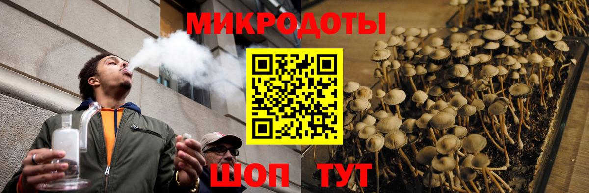 Галлюциногенные грибы MAGIC MUSHROOMS  Псилоцибиновые грибы GOLDEN TEACHER  Вход с VPN  Тосно 